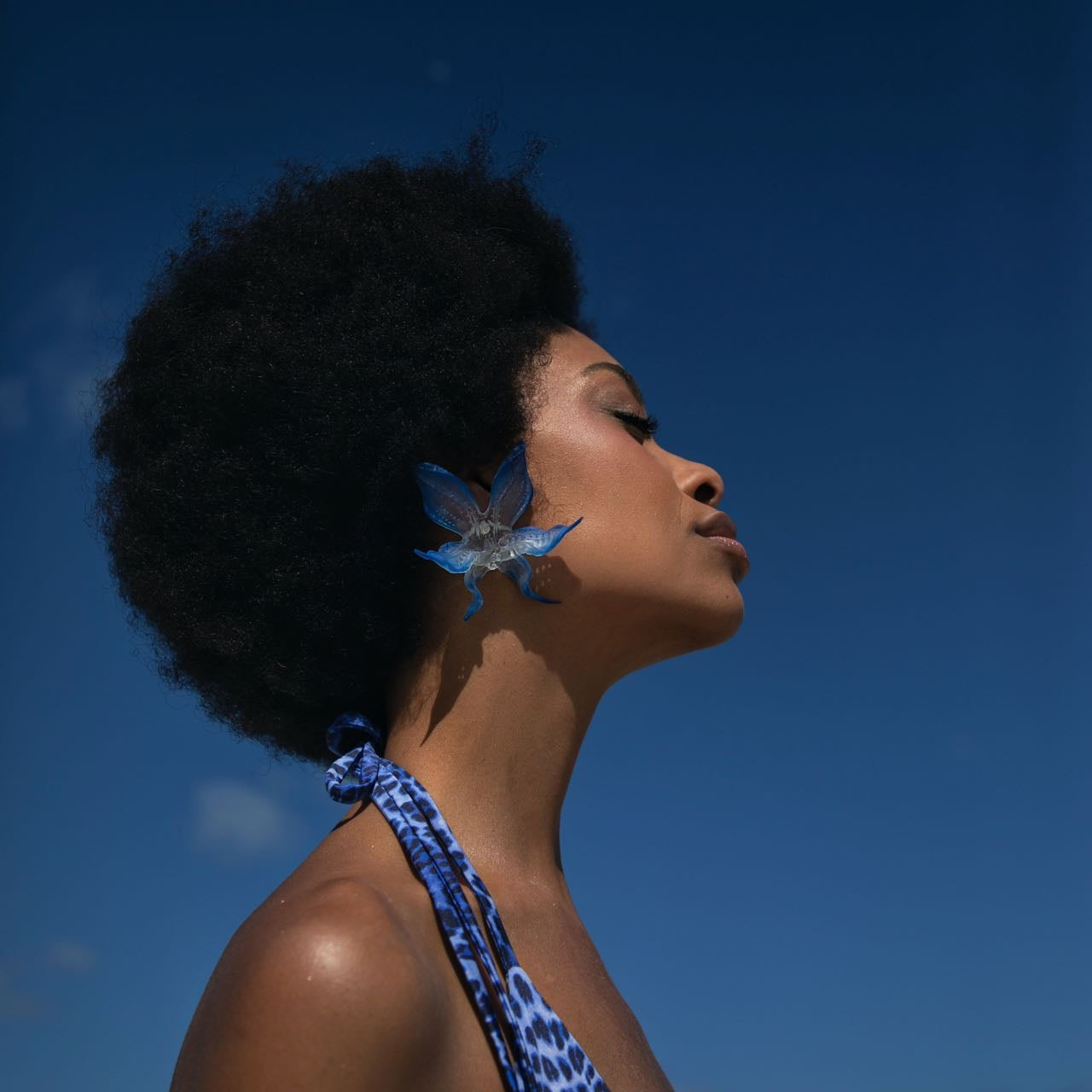 Boucles d'oreilles Orchidée électrique