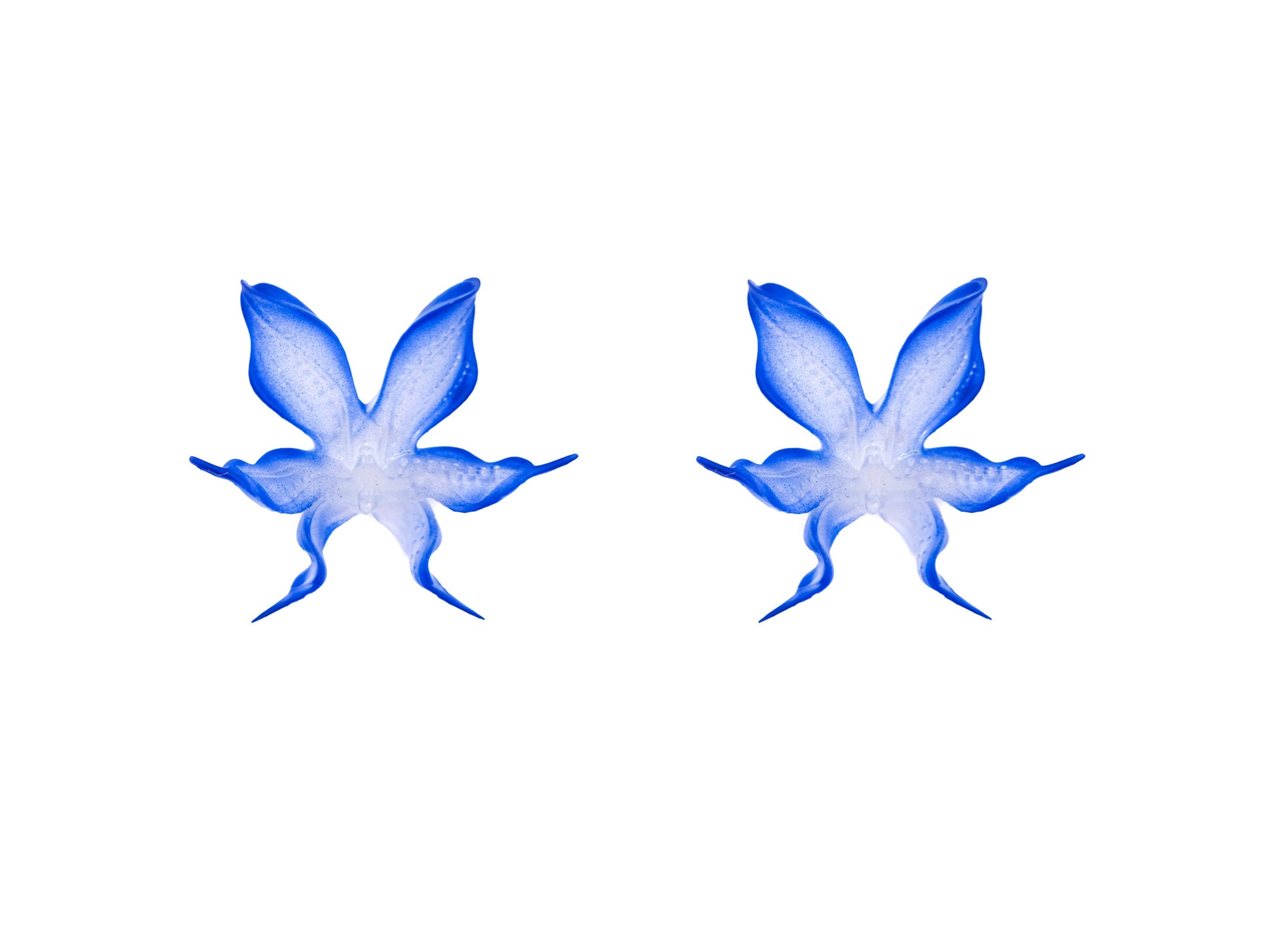 Boucles d'oreilles Orchidée électrique