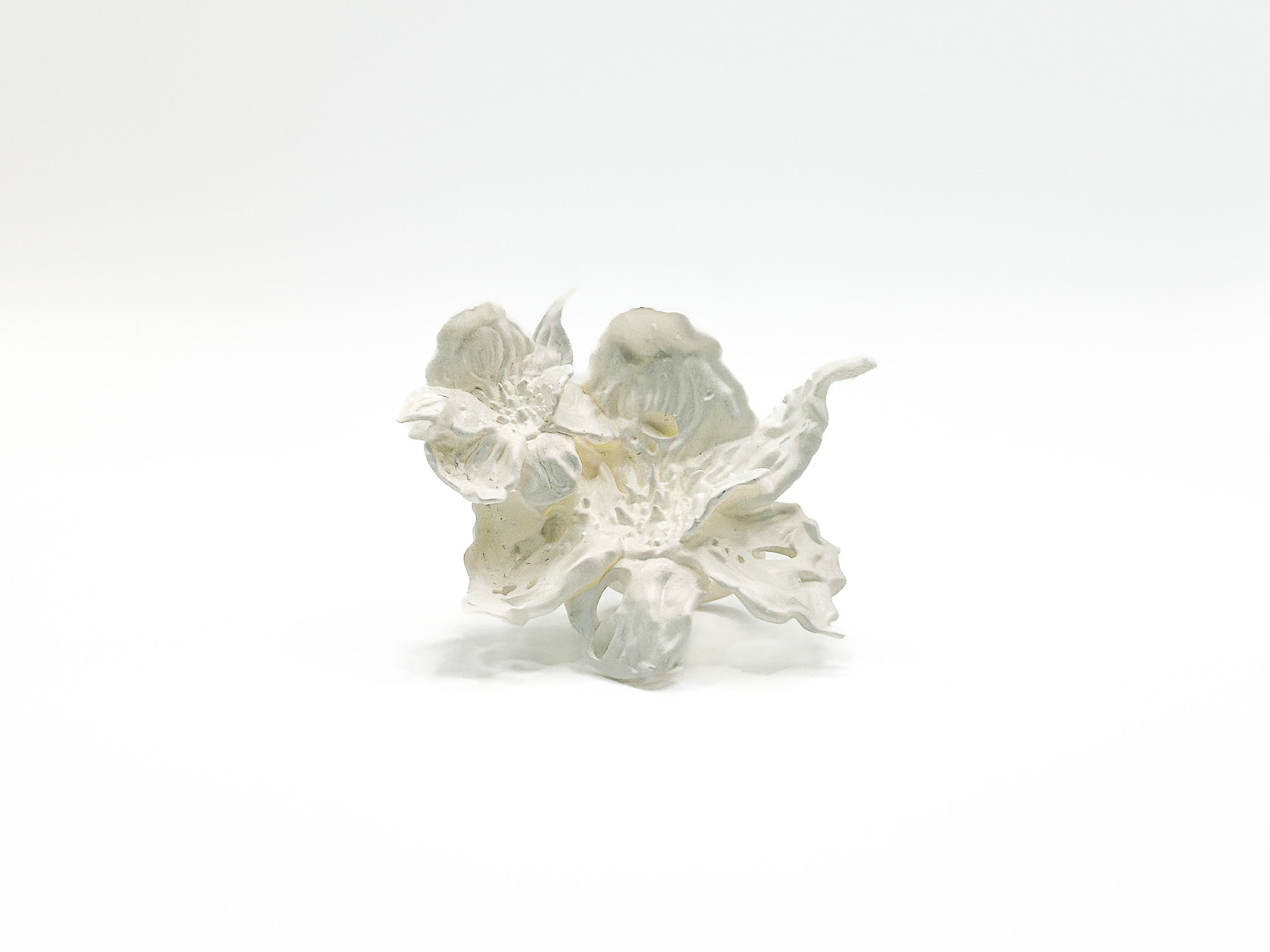 Bague Duo de Fleurs Jonquilles - Blanc